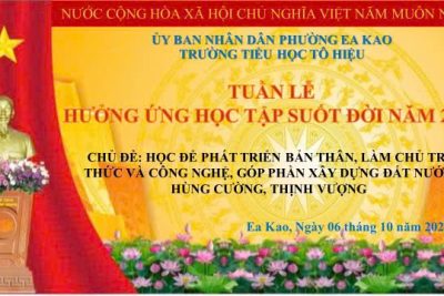 Trường Tiểu học Tô Hiệu tổ chức Lễ phát động Tuần lễ hưởng ứng học tập suốt đời năm 2025.
